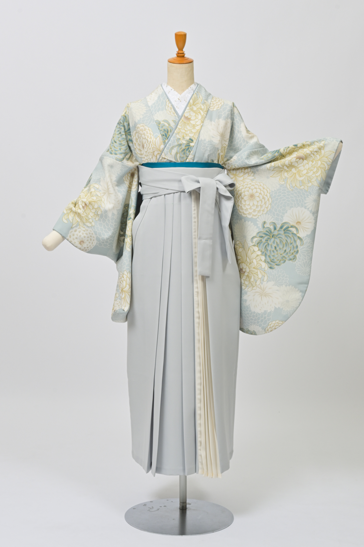 乱菊・菊水水色