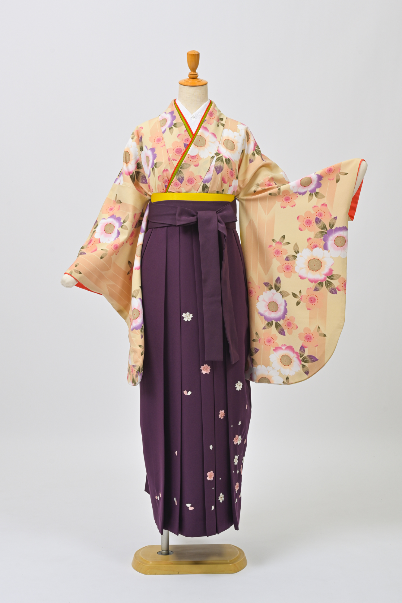 クリーム・矢絣×桜